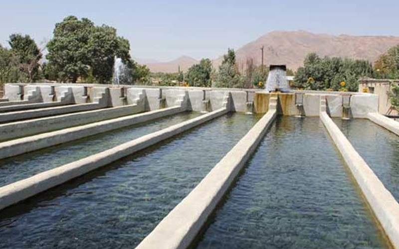 توسعه فعالیتهای شیلاتی در سیستانوبلوچستان