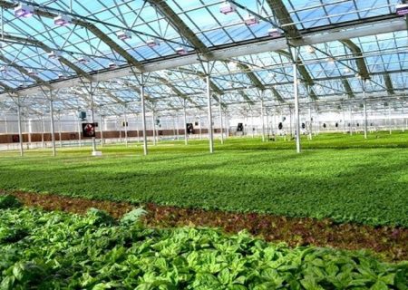 تمرکز سرمایه‌گذاری در بخش کشاورزی و شیلات سیستان‌وبلوچستان