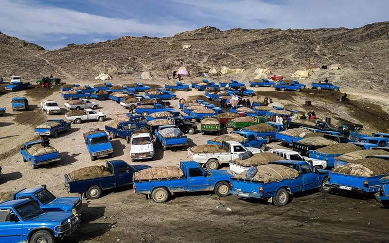 توقیف خودروهای سوختکش در مرزهای سیستانوبلوچستان