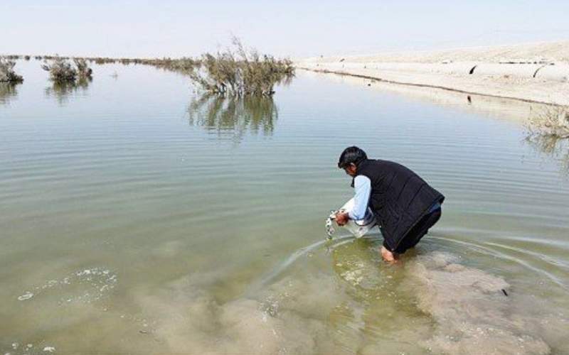 رهاسازی نخستین محموله بچه‌ماهی در دریاچه پشت ادیمی