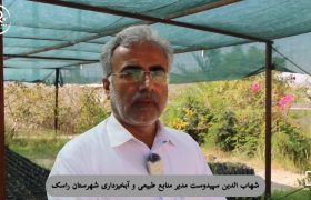 توزیع رایگان هشت هزار نهال بومی در راسک
