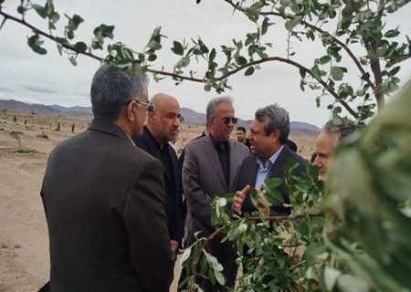 ایجاد پارک جنگلی زاهدان، الگویی برای سایر شهرها