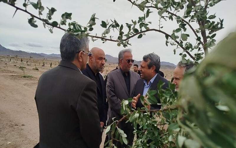 ایجاد پارک جنگلی زاهدان، الگویی برای سایر شهرها