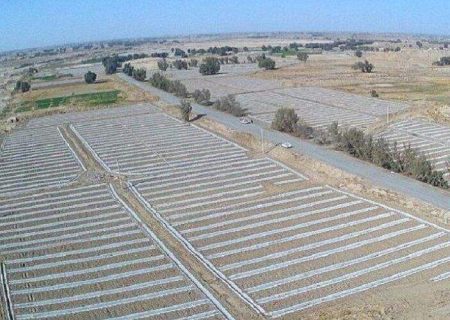 افزایش سطح زیر کشت جالیز در زهک