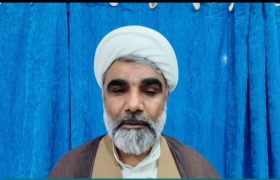 دهه کرامت؛ جلوه نصرت و رأفت رضوی
