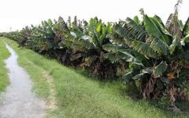 برخورد قاطع با برداشت‌کنندگان غیرمجاز آب چابهار