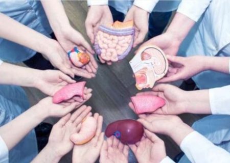 ترویج فرهنگ اهدای عضو با آگاهی‌بخشی مستمر
