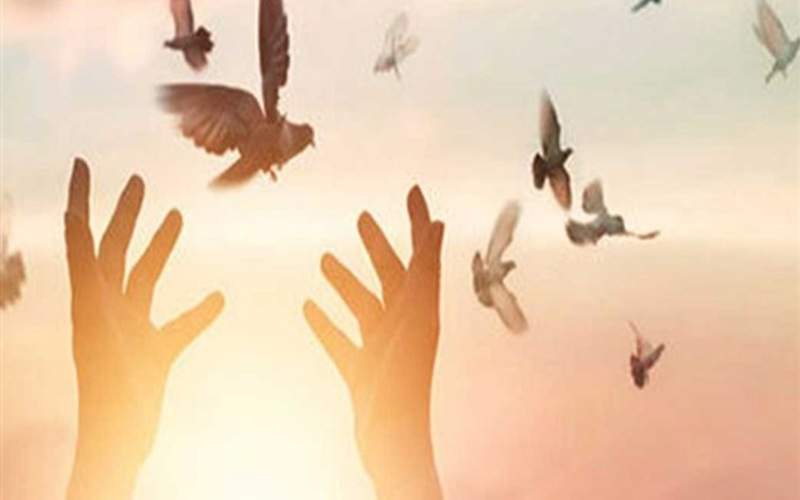 توان اقتصادی صنایع پشتوانه آزادی زندانیان غیرعمد میشود