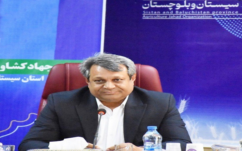 جذب ۹۶ درصدی اعتبار تعهدی «نویپو» نهادههای دامی