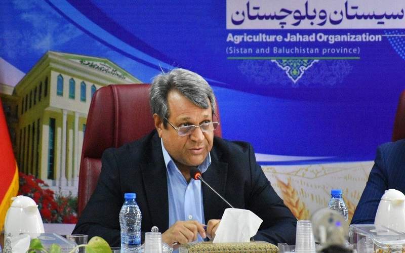 تأمین مطلوب کالاهای اساسی و گوشت قرمز سیستانوبلوچستان