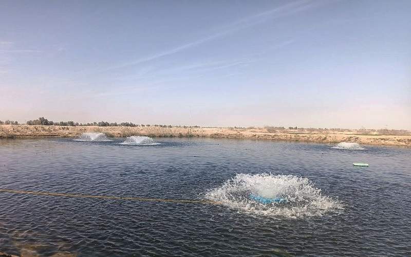 اجرای ۱۰۰ طرح آبزی‌پروری در سیستان‌وبلوچستان