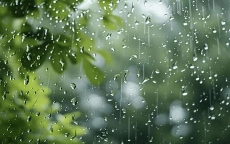 پیش‌بینی ادامه رگبارهای بهاری
