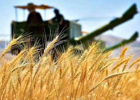 خرید تضمینی گندم، محور تقویت تولید ملی کشور