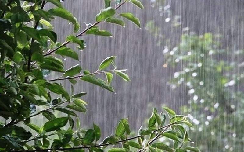 پیشبینی رگبار در شمال غرب و شمال شرق