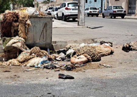 جمع‌آوری ۳۰ هزار پوست دام در عید قربان