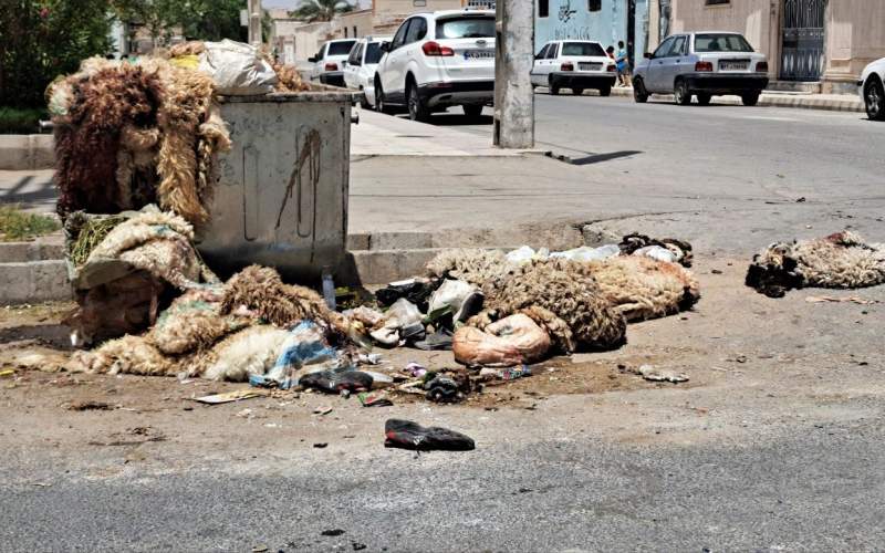 جمع‌آوری ۳۰ هزار پوست دام در عید قربان