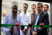 ظرفیت جوجه‌ریزی در مهرستان از نیم‌میلیون قطعه گذشت