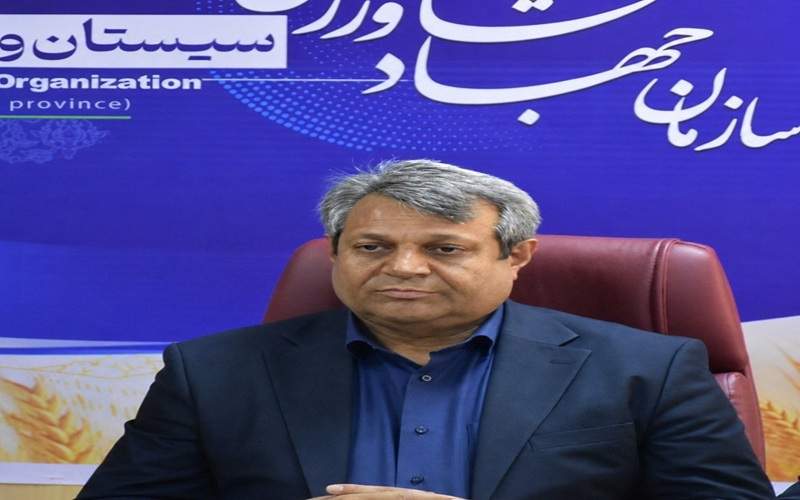 کشاورزی سیستانوبلوچستان؛ محور امنیت غذایی کشور