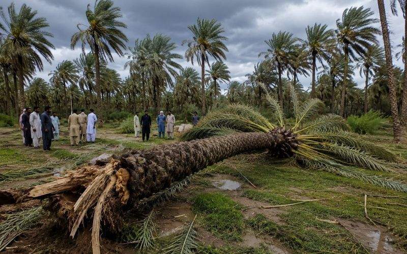 جان‌باختن ۲ نفر بر اثر طوفان در ایرندگان خاش