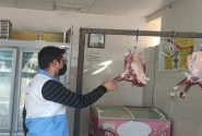 کشف ۵۰۰ کیلو فرآورده دامی غیربهداشتی در زاهدان