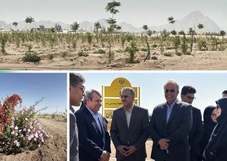 پارک جنگلی زاهدان الگویی برای مدیریت بهینه آب