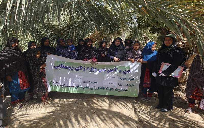 فعالیت ۱۴ صندوق اعتبارات زنان روستایی در مهرستان