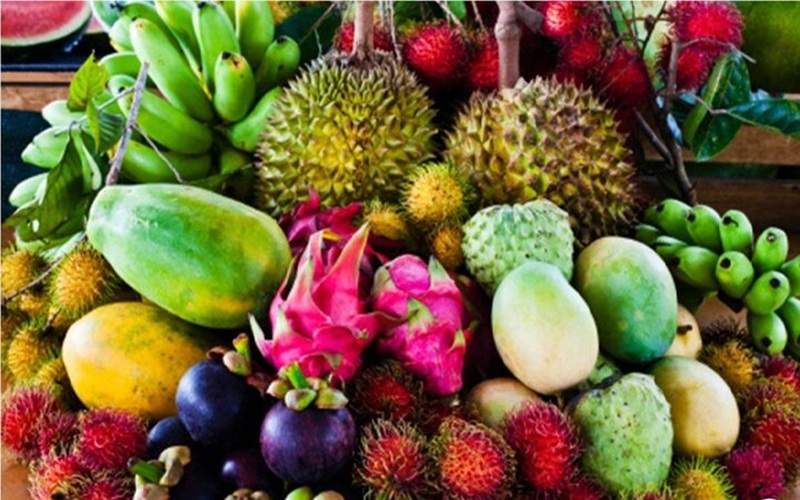 سیستانوبلوچستان، بهشت میوههای گرمسیری ایران