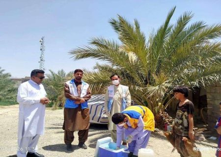 واکسیناسیون گسترده طیور بومی مهرستان آغاز شد