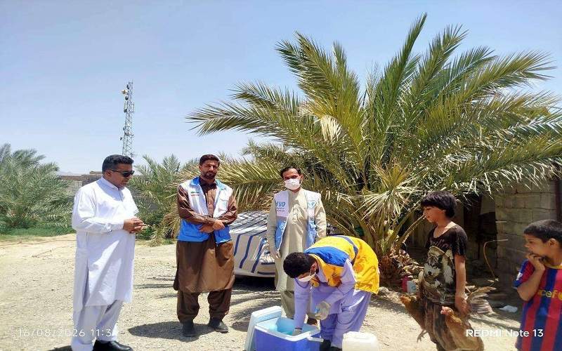 واکسیناسیون گسترده طیور بومی مهرستان آغاز شد