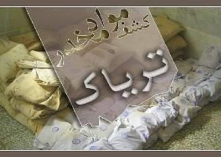 کشف ۸۶ کیلوگرم مواد مخدر در چابهار