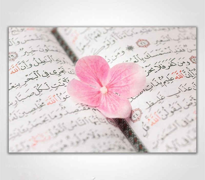 شروع صبح با یک صفحه از قرآن