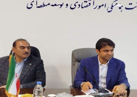 اجرای طرح اقتصادی تایر هامون به سرانجام برسد