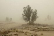 وزش شدید باد و گردوخاک در شمال سیستانوبلوچستان