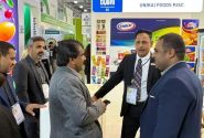 صادرات ۳۰۰ تن خرمای ربی سراوان به روسیه