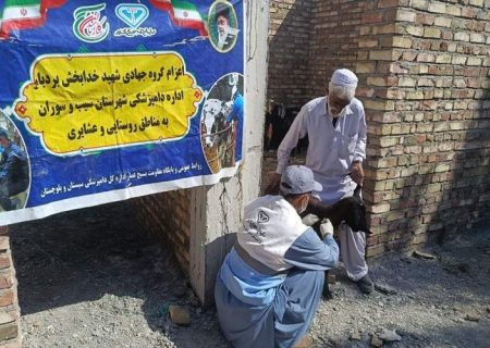 واکسیناسیون ۱۵۵۰ رأس دام در سیب‌وسوران