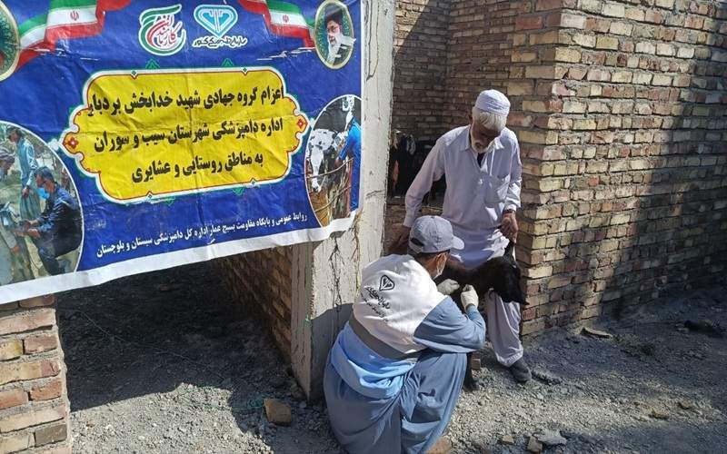 واکسیناسیون ۱۵۵۰ رأس دام در سیبوسوران