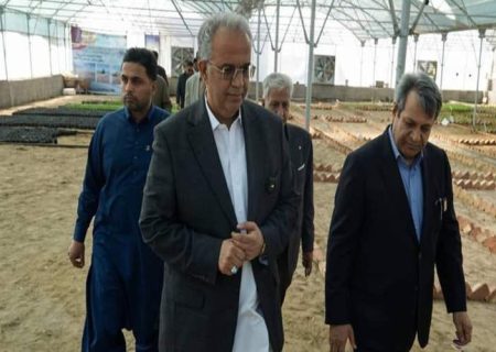 عملیات اجرایی فاز سوم «پارک جنگلی زاهدان» کلید خورد